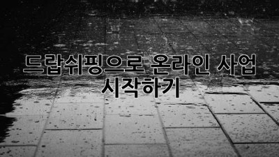 드랍쉬핑으로 온라인 사업 시작하기