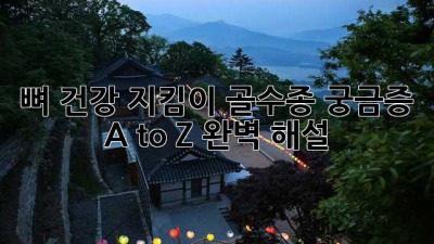 뼈 건강 지킴이💪 골수종 궁금증 A to Z 완벽 해설