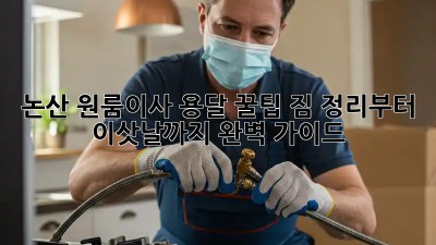 논산 원룸이사 용달 꿀팁🍯: 짐 정리부터 이삿날까지 완벽 가이드!