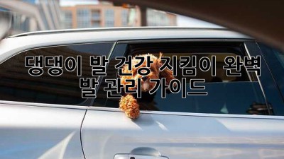 댕댕이 발 건강 지킴이! 완벽 발 관리 가이드🐾